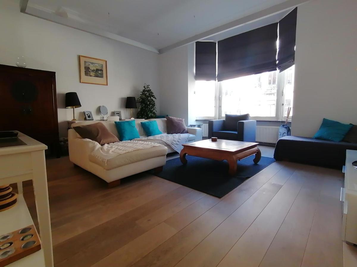 Brugmann Loft Appartement *