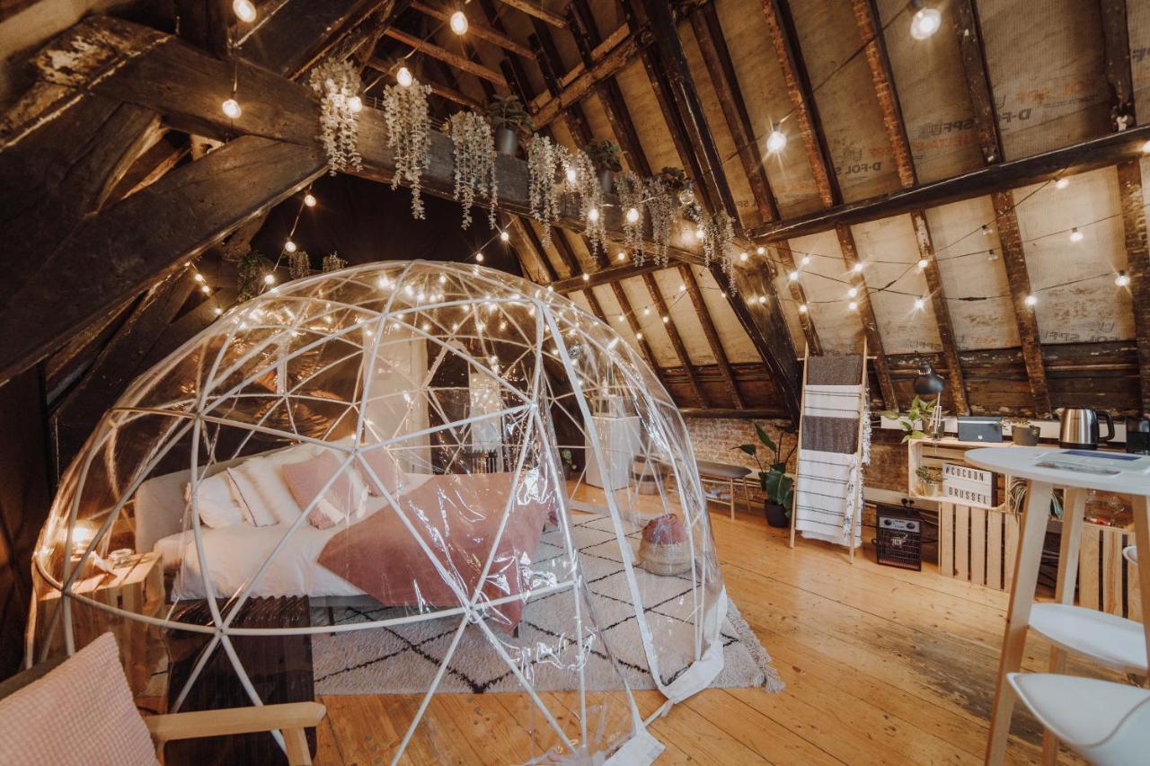 Cocoon *