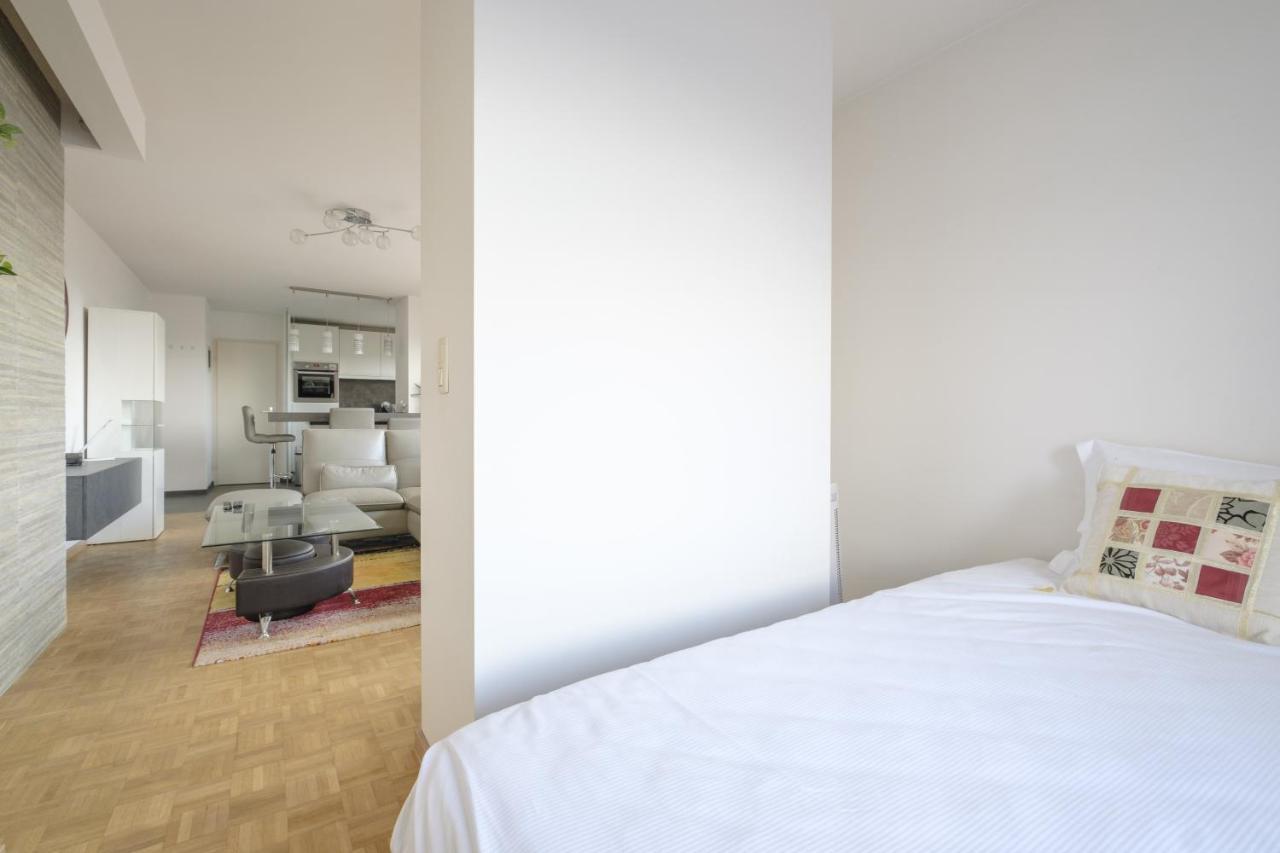 With Big Terrace Apartment