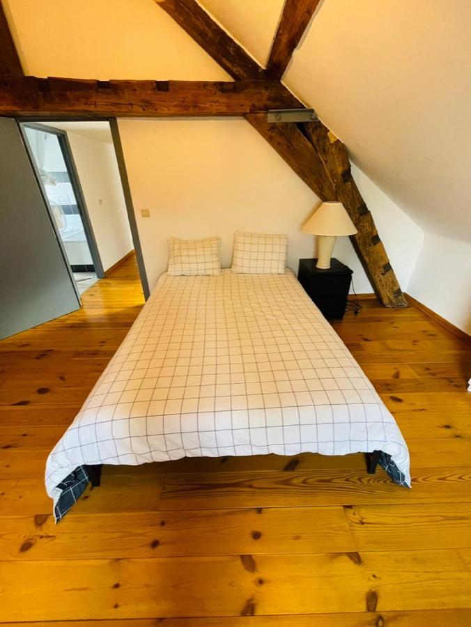 Down Town Spacious Loft With Private Parking *