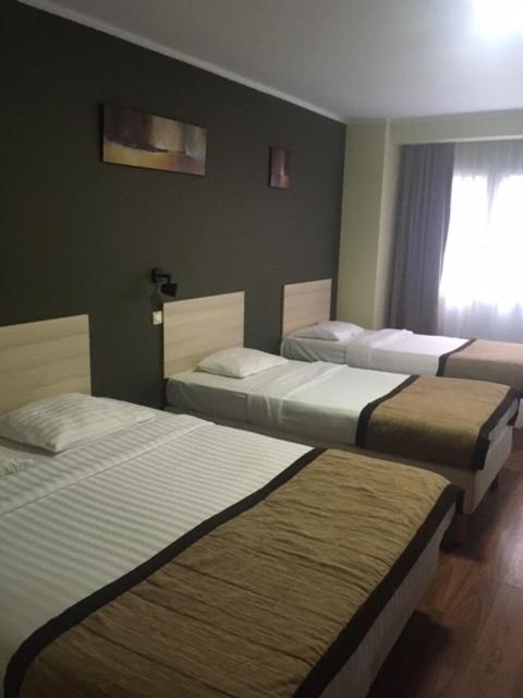 Albert Hotel Hotel 2*