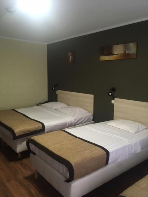 Albert Hotel Hotel