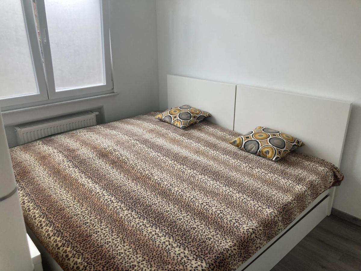 Appartement Le Bon Berger *