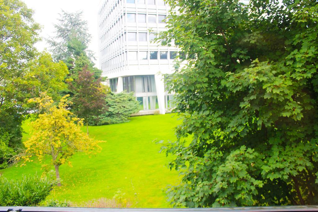 Story' Brüssel