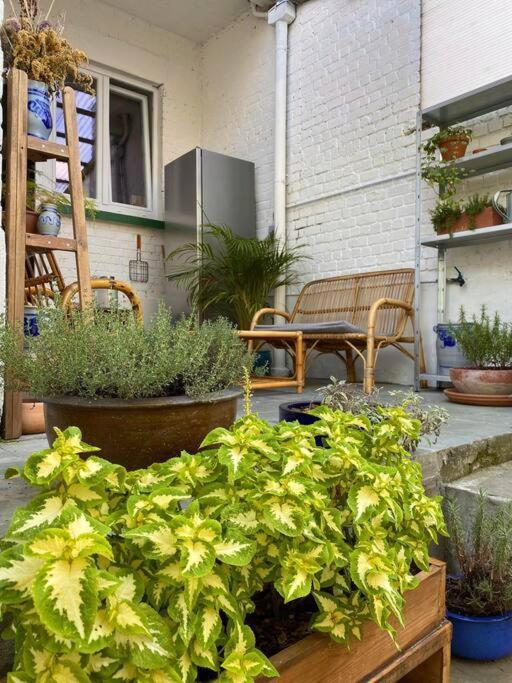 Lejlighed Superbe Avec Jardin, Sauna Et Jacuzzi