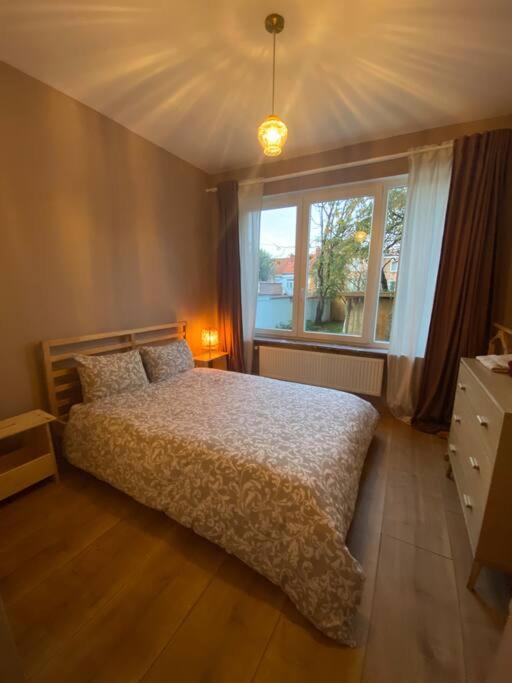 Superbe Avec Jardin, Sauna Et Jacuzzi Lejlighed Bruxelles