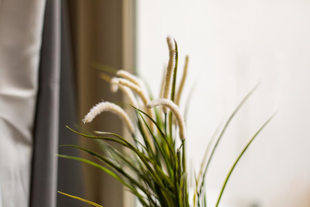 Cityzen Grand Place Apartment