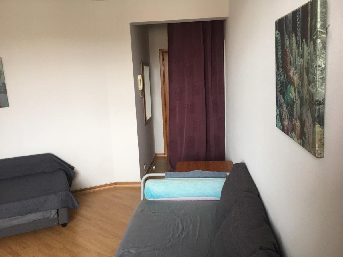 Appartement Sunny Studio In Brussels, With A Balcony View Of The Basil. Bruxelles