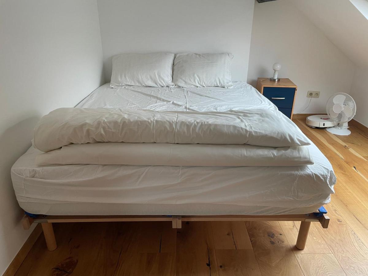 Appartement Loft In Saint-gilles Brussel