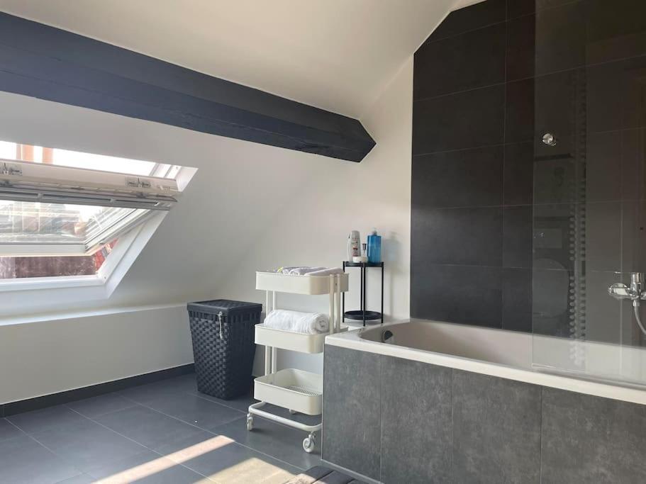 Loft In Saint-gilles Appartement *