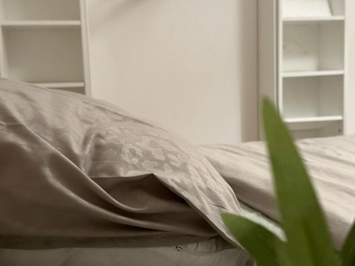 Appartement Logement Entier 2 Chambres Centre Brussel