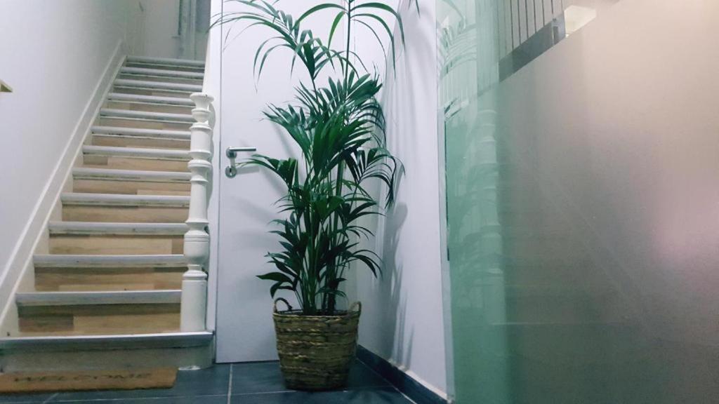 Cozy With Share The Bathroom And Kitchen Accommodatie bij particulieren Brussel