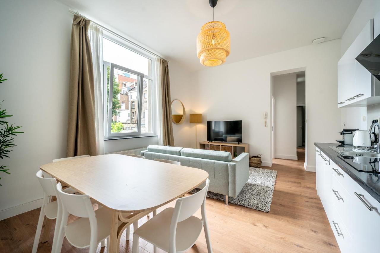 Marteau V-carapace Appartement