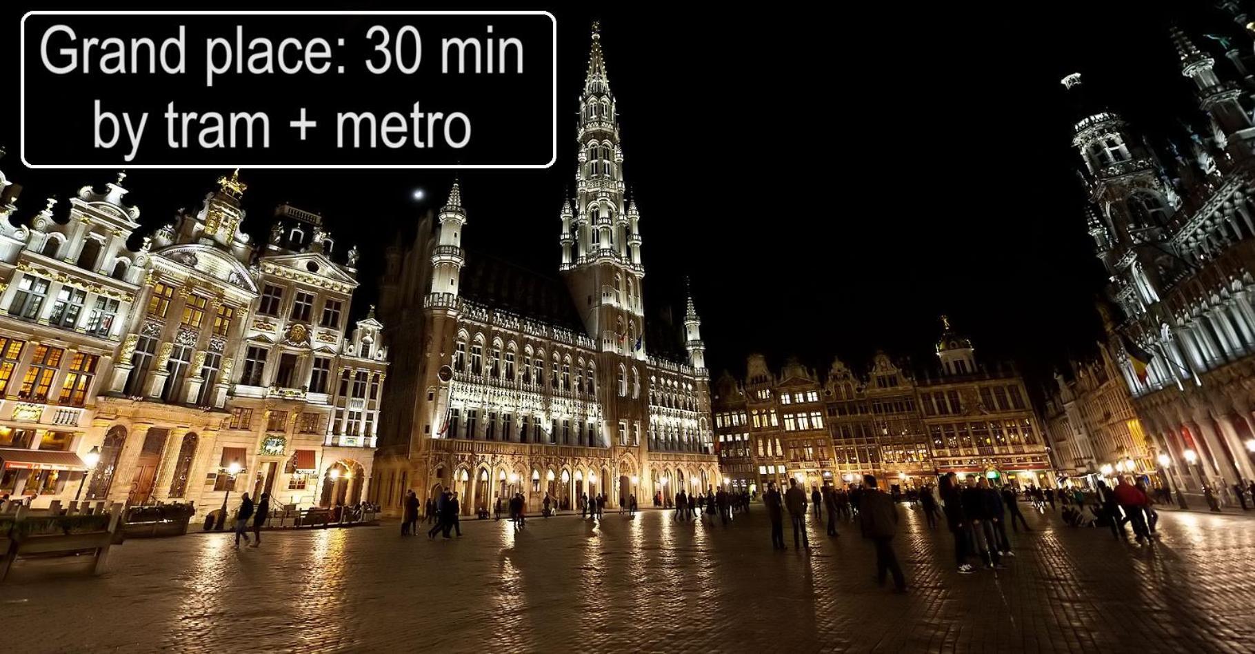 Appartement Furnished - Bright, Modern In Brussels, 15 Minutes Walk From The Atomium Brussel