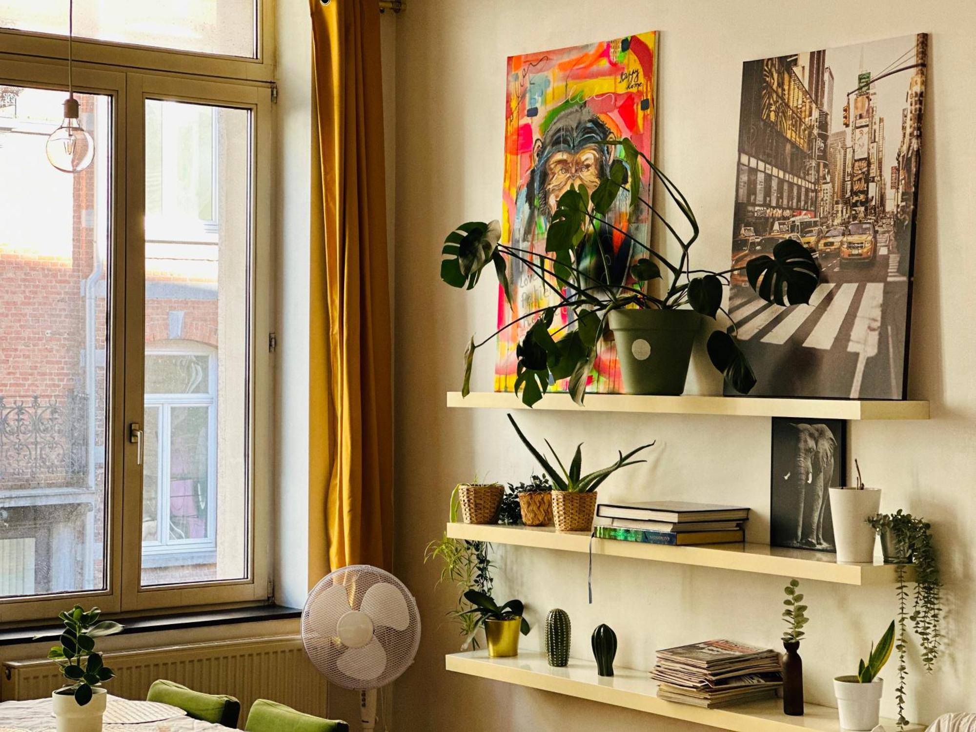 Down-town 1 Bedroom Flat *