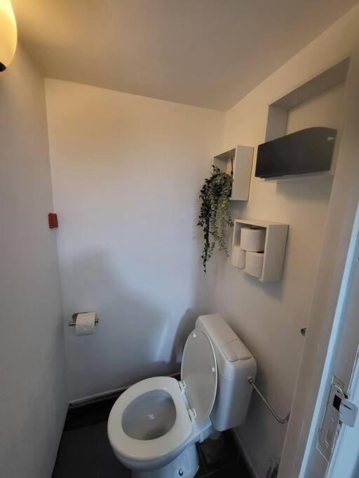 Appartement Style Haussmannien 1 Bedroom Brussel