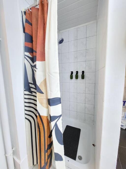 Style Haussmannien 1 Bedroom Appartamento