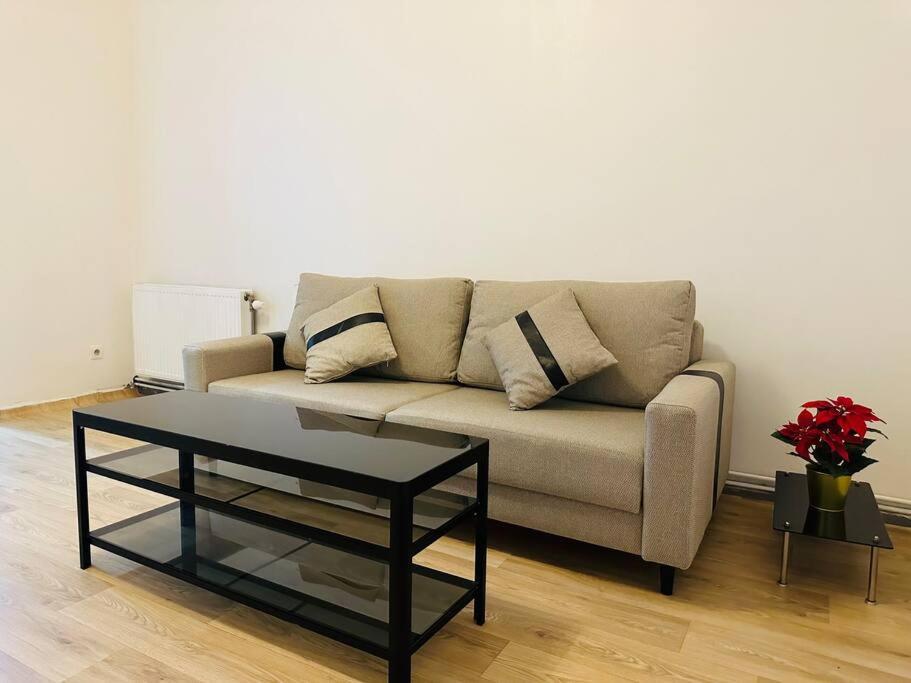 Modern & Comfortable Center Oasis~king Bed ! Apartment