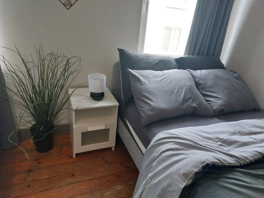 Cosy Studio