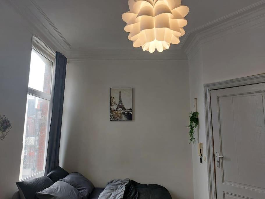 Cosy Studio