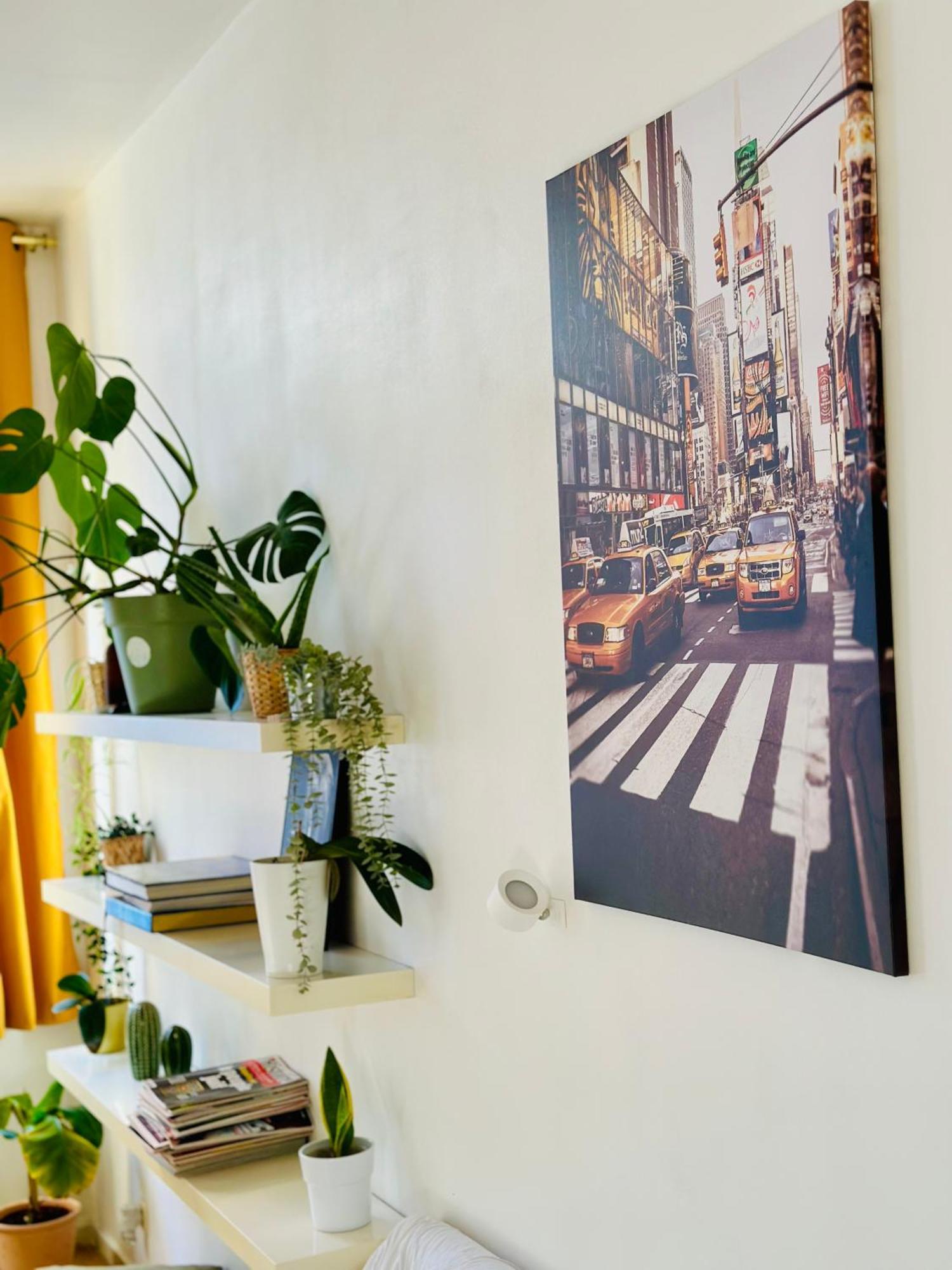 Down-town 1 Bedroom Flat Appartement