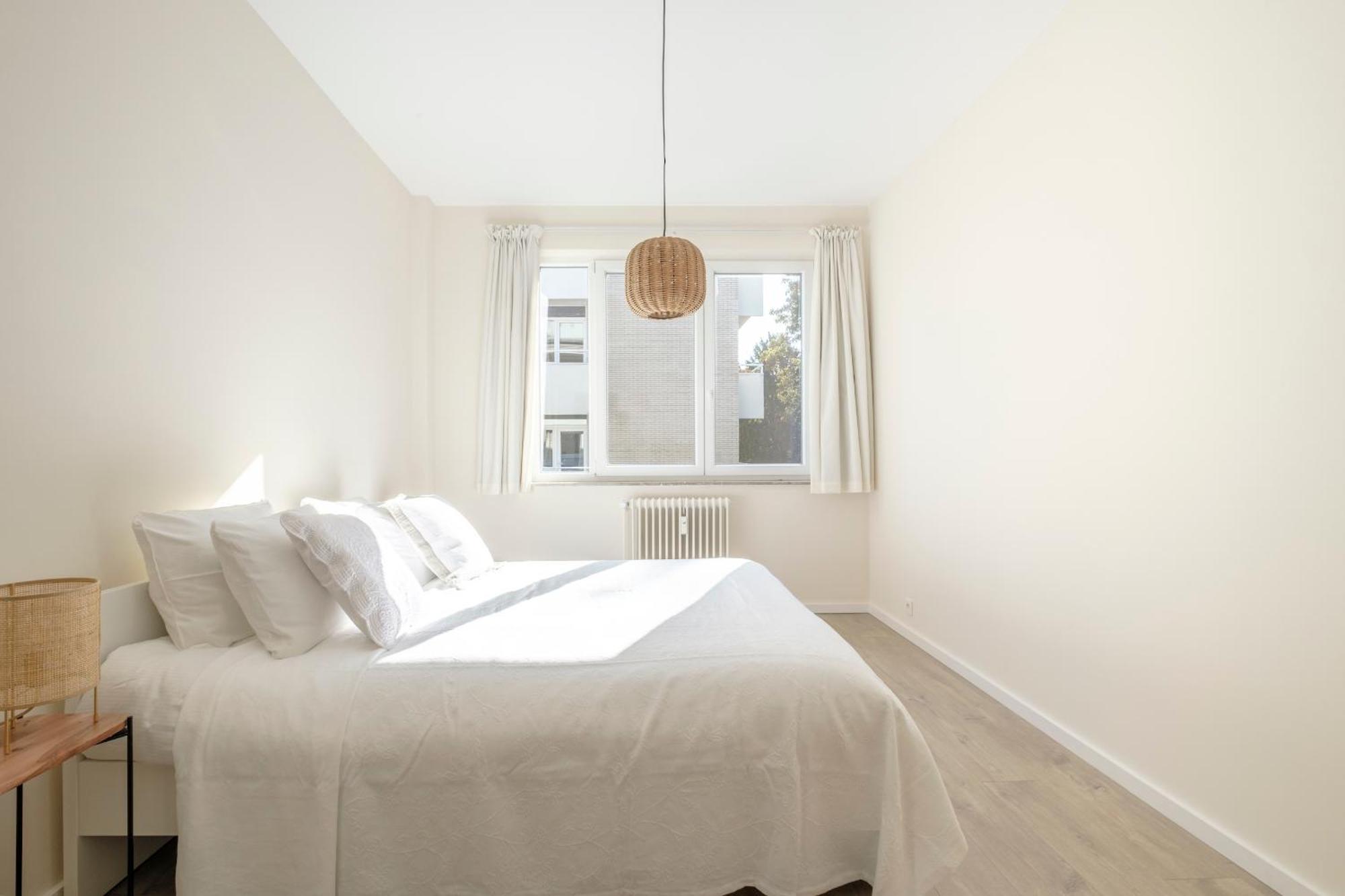 Cosy 1 Chatelain, Brugmann *