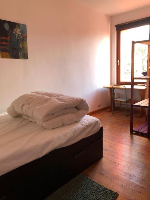 Cozy & Comfy House In Forest! Casa vacanze