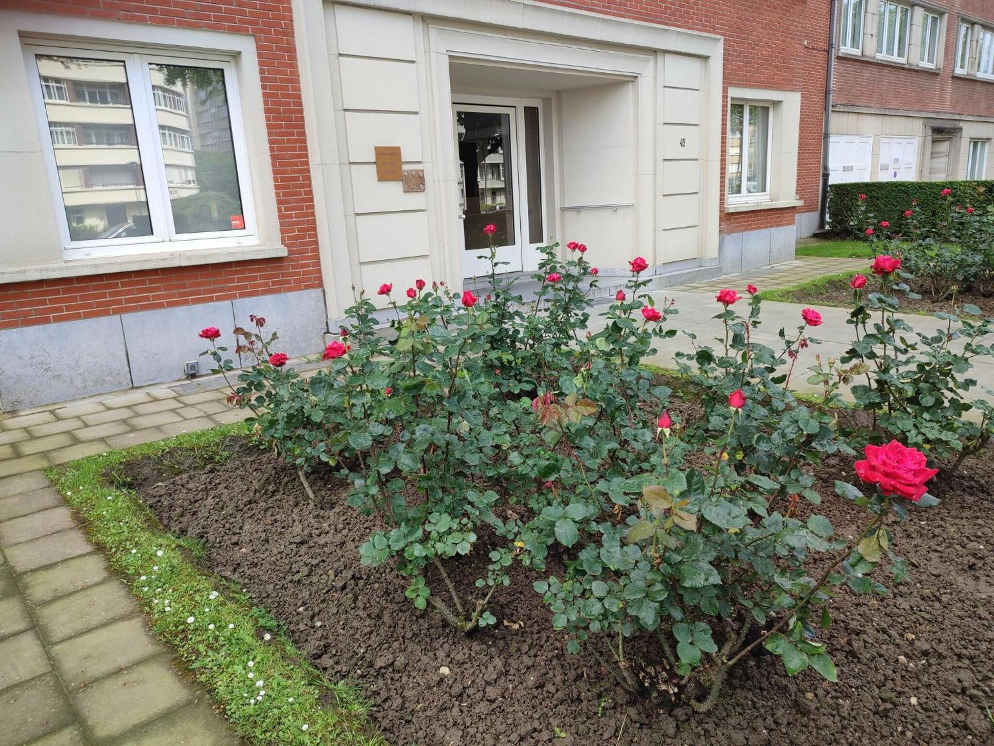 Charming In Etterbeek 70 M² With Balcony * Brussel