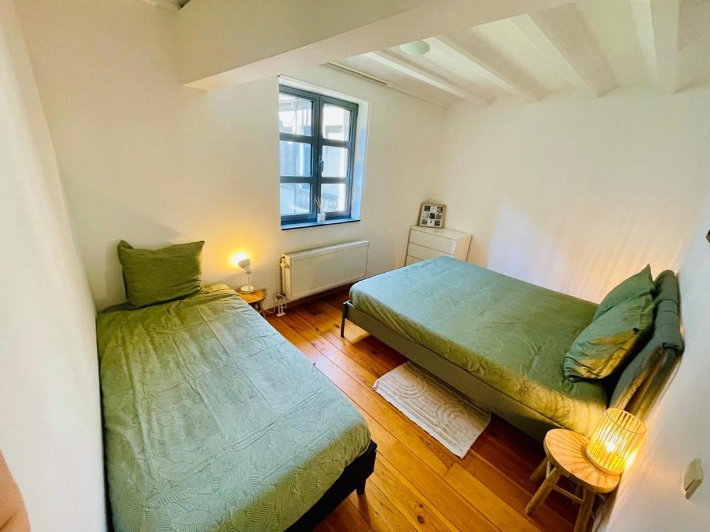 Down Town Oasis-spacious Loft With Private Parking Apartment