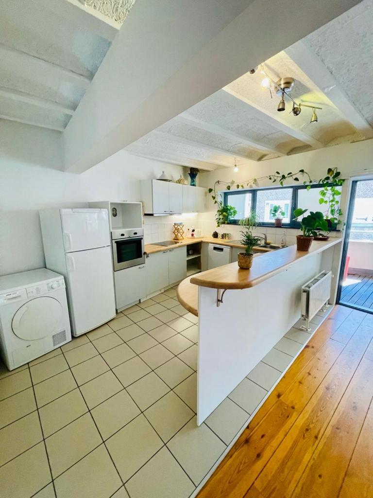 Down Town Oasis-spacious Loft With Private Parking * Brüssel