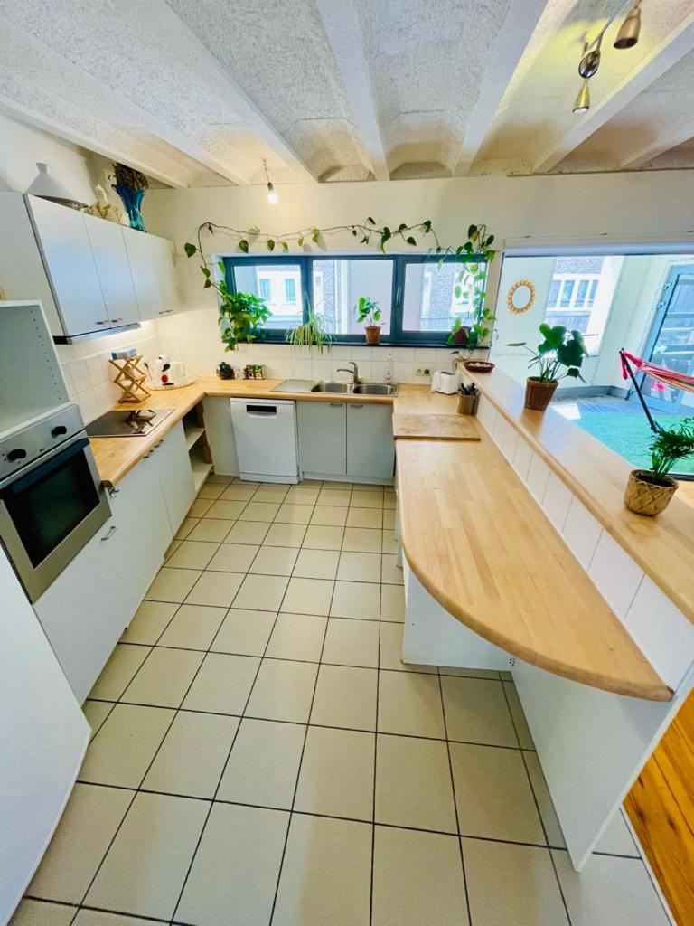Apartment Down Town Oasis-spacious Loft With Private Parking *