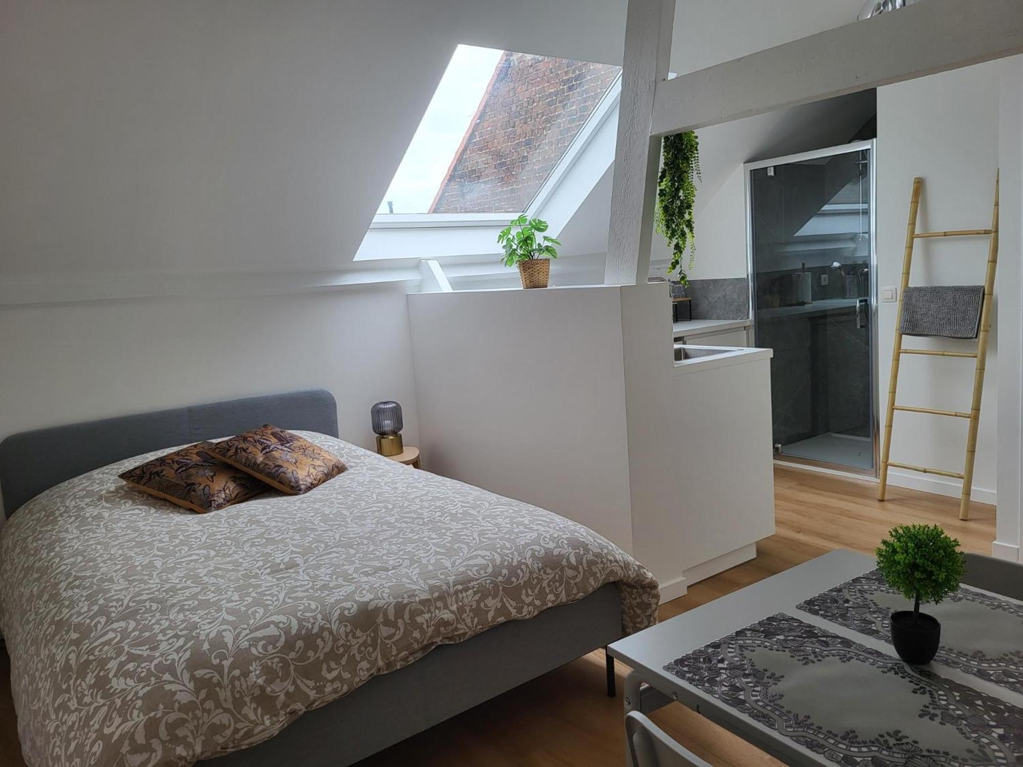 Charmante Maison Idéalement Située Bruxelles