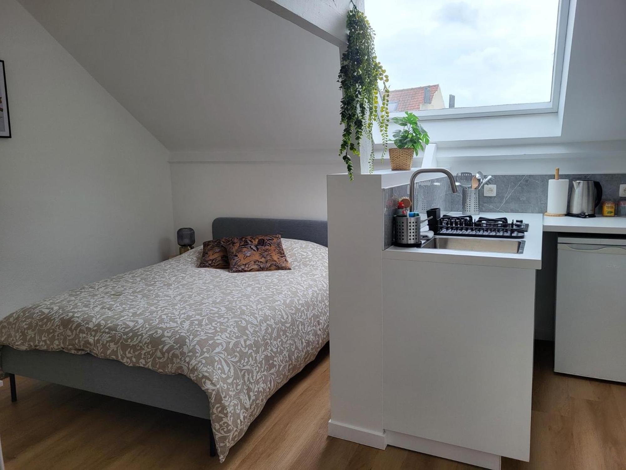 Charmante Maison Idéalement Située Affittacamere Bruxelles