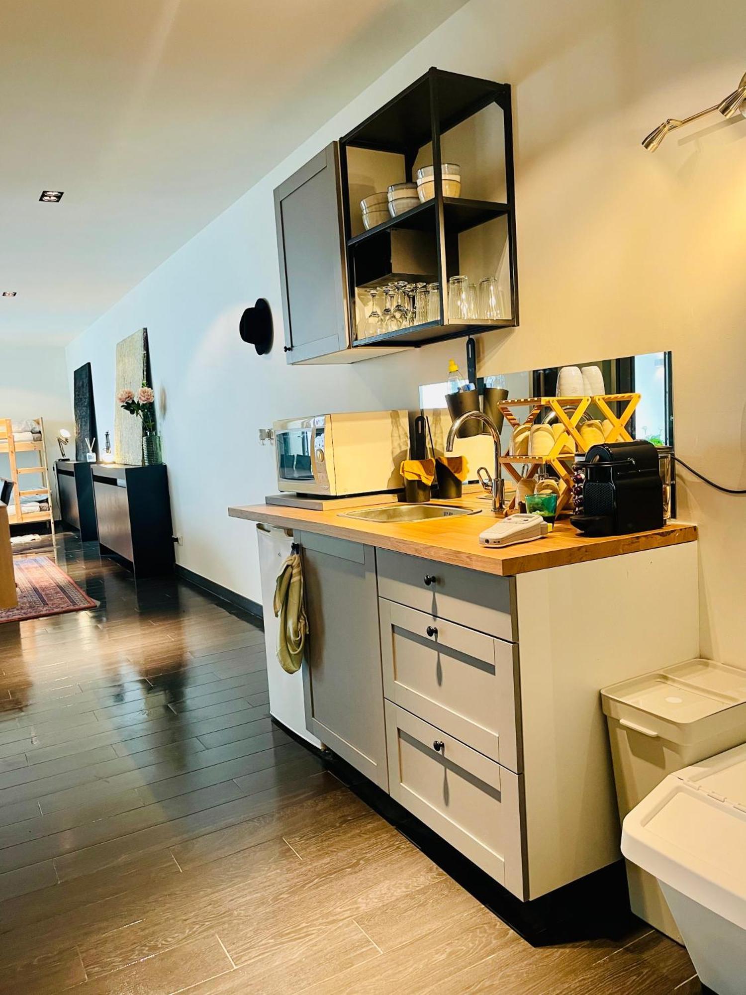 Lejlighed Down Town Spacious Loft Retreat With Private Parking Bruxelles