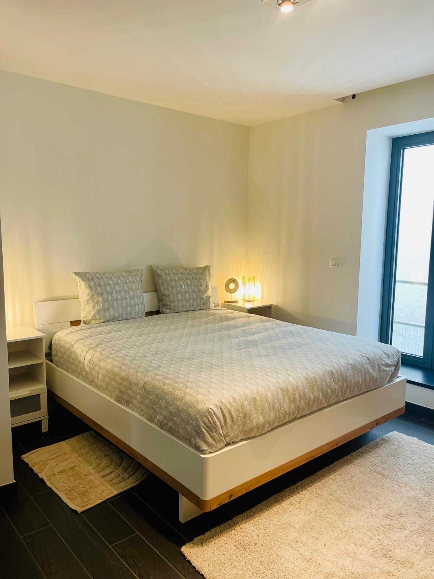Down Town Spacious Loft Retreat With Private Parking Lejlighed