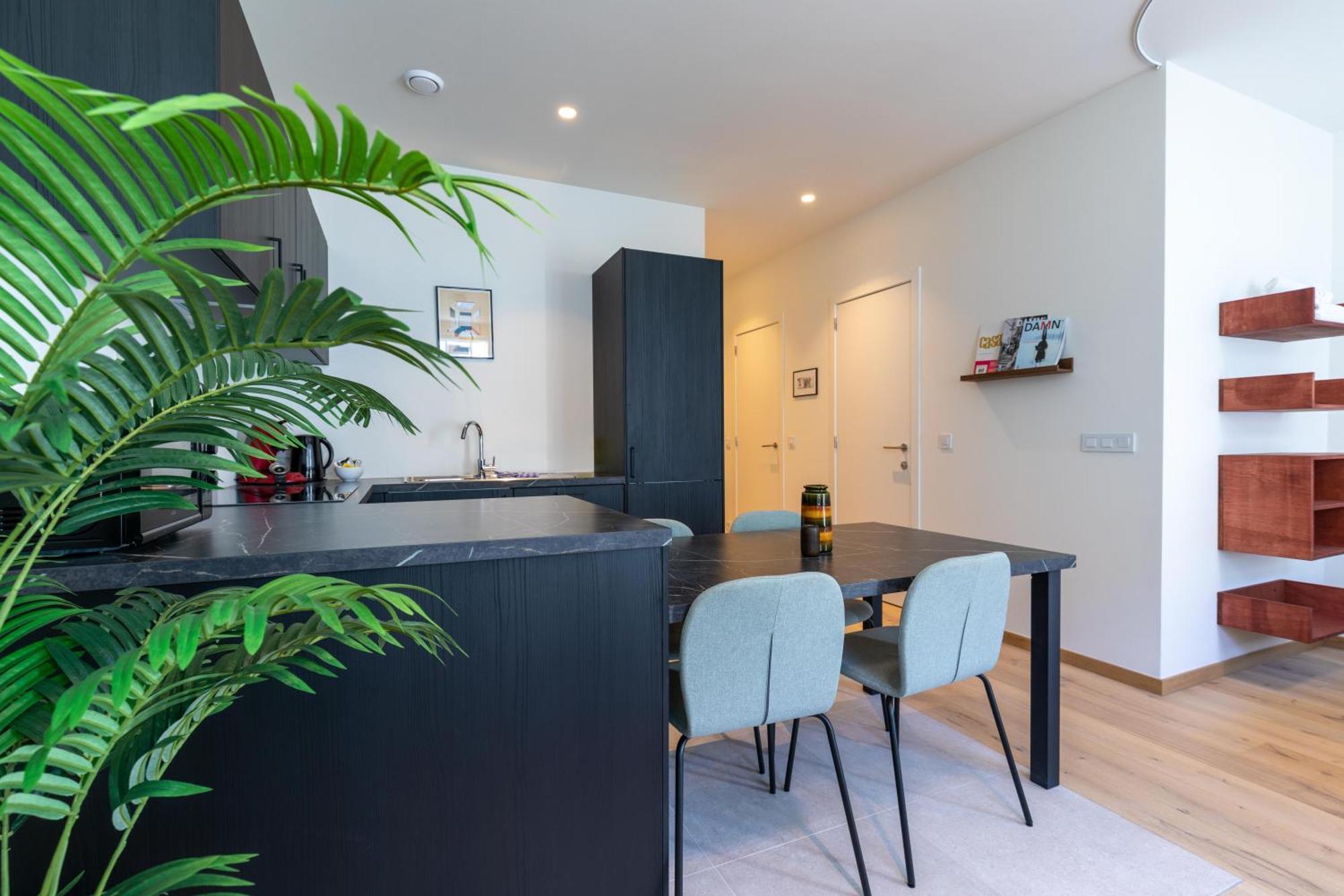 Smartflats - Rogier Apartment Brussels