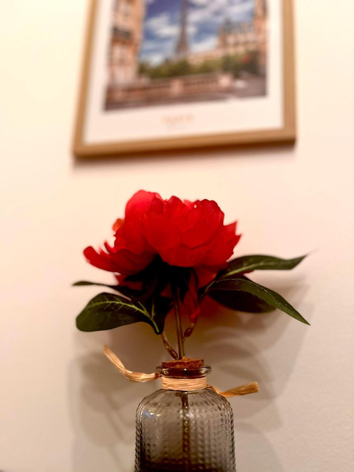 Apartment Charmant Studio - Quartier Chatelain Brussels