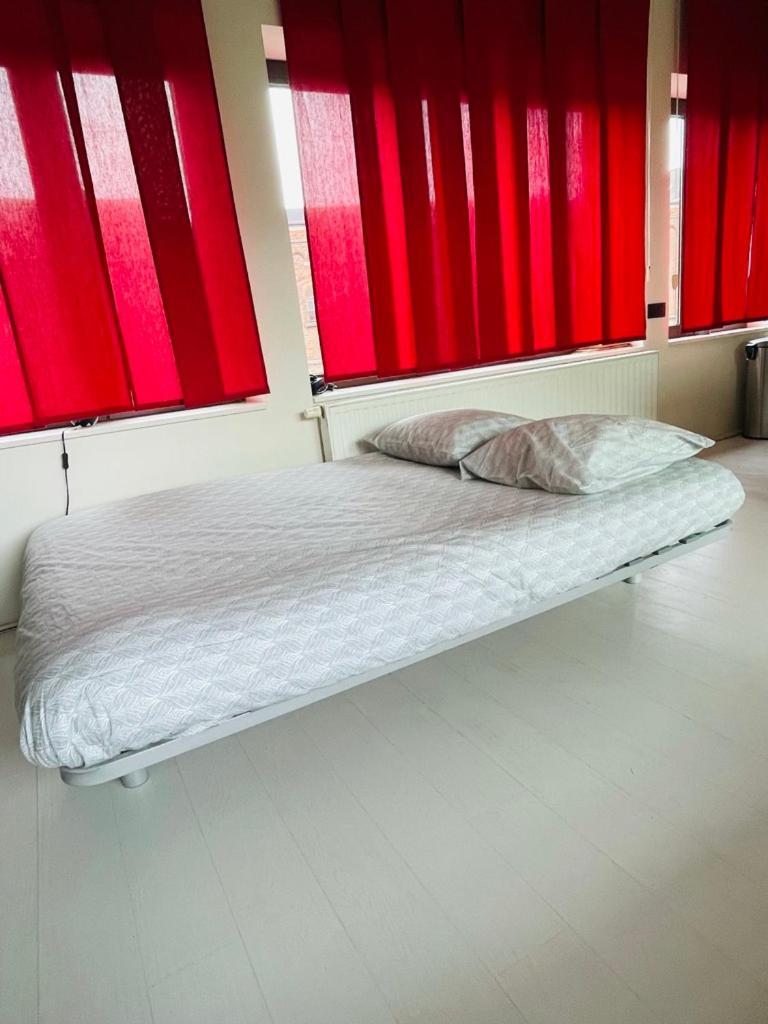 Lejlighed Down Town Penthouse With Private Parking