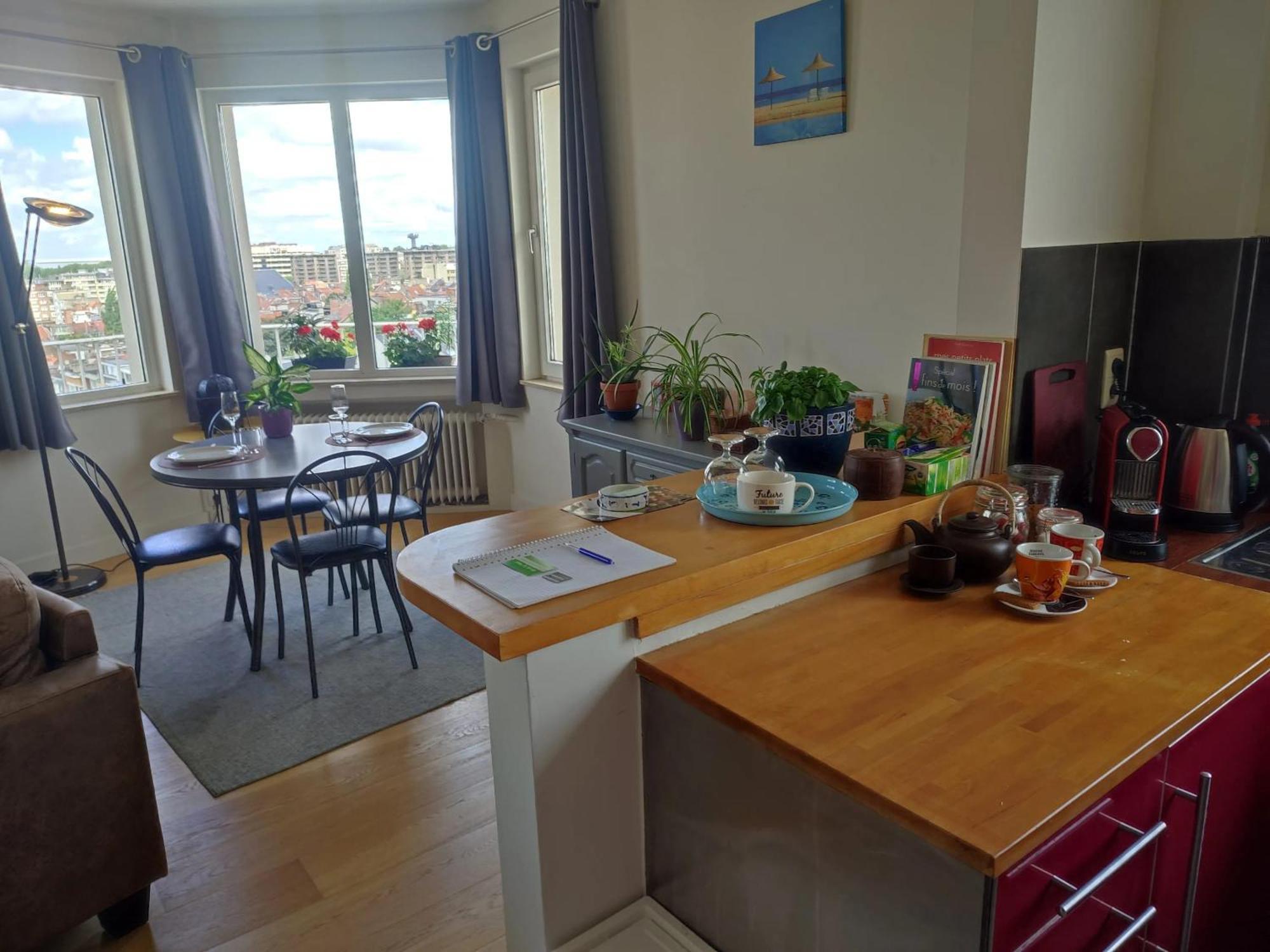 Appartement Charming In Etterbeek 70 M² With Balcony