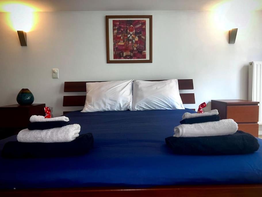 Down Town Spacious Duplex With Private Parking & Game Brussel