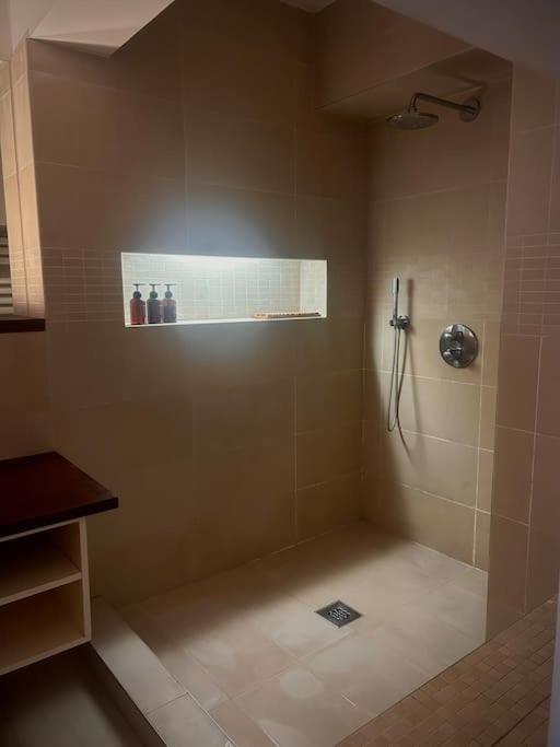 Down Town Spacious Duplex With Private Parking & Game Appartement Brussel