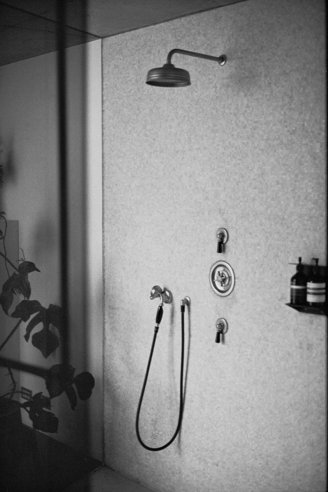 Teddy Picker * Brüssel
