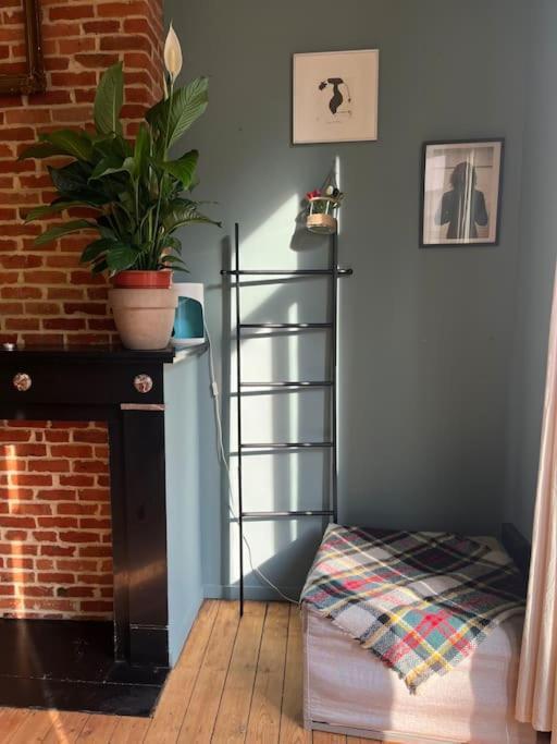 Nina's Place In The Center Apartment