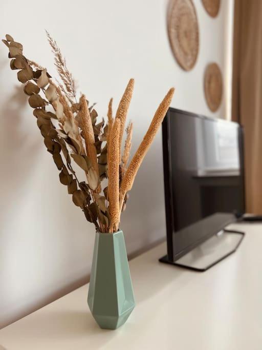 Flat Moderne Et Lumineux Appartement Brussel