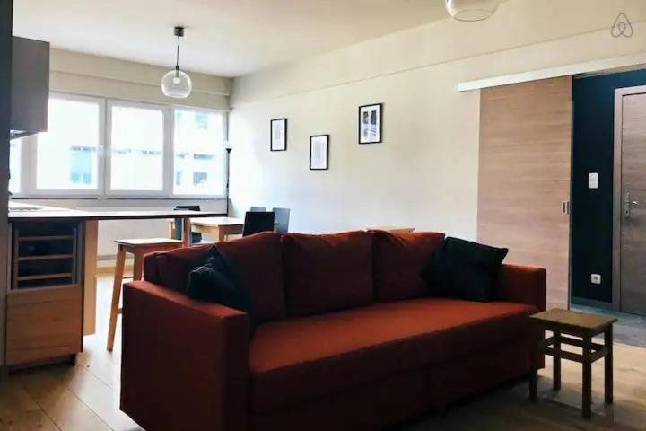 Apartment Entierement Renove Et Equipe De Deux Dans Le Quartier Schuman *
