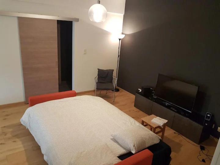 Apartment Entierement Renove Et Equipe De Deux Dans Le Quartier Schuman Brussels
