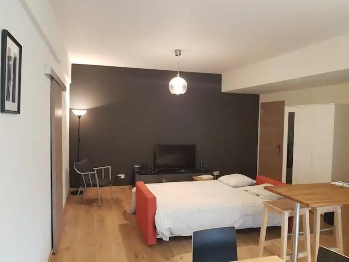 Entierement Renove Et Equipe De Deux Dans Le Quartier Schuman Apartment Brussels