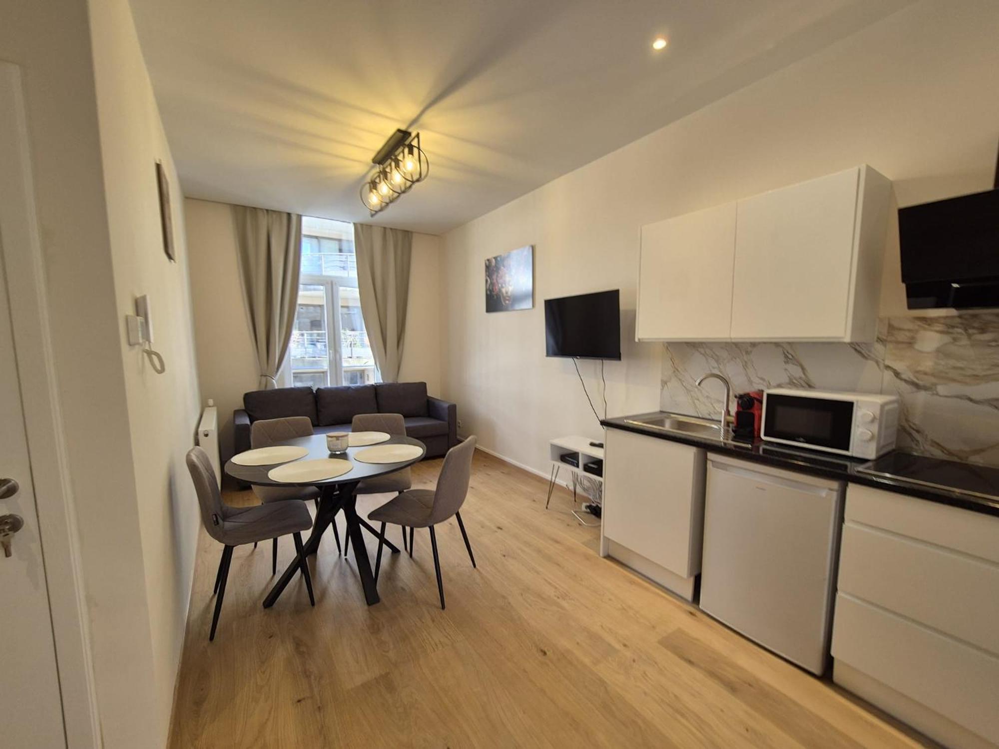 Modern Near Avenue Louise Apartment Brussels