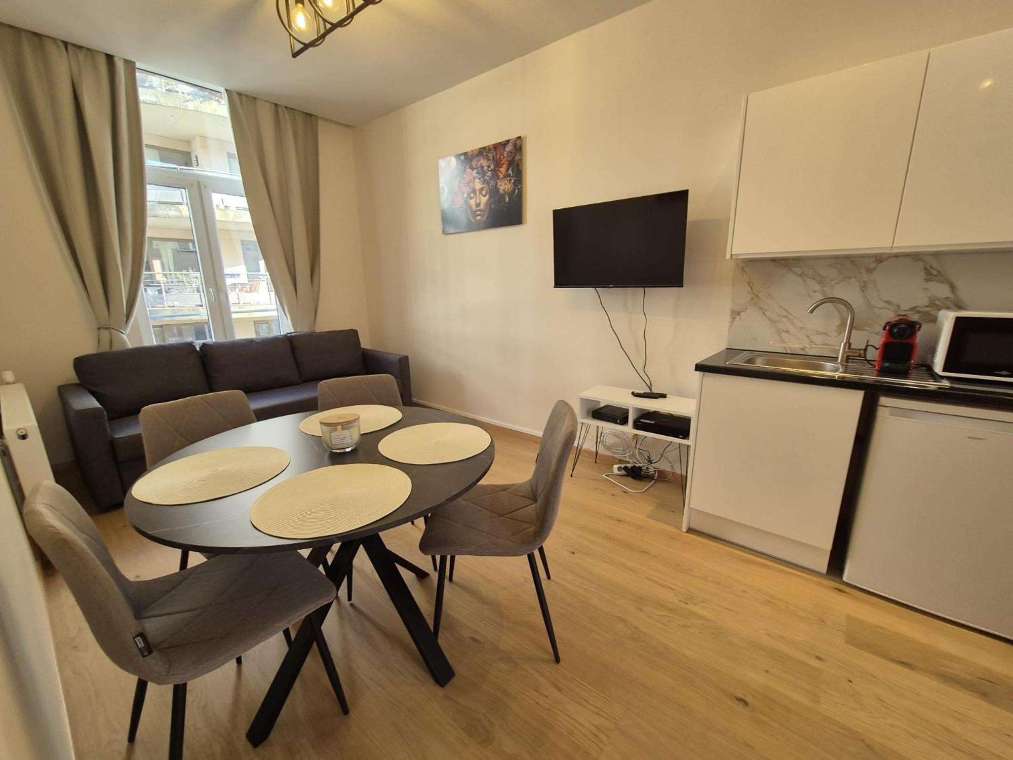 Modern Near Avenue Louise Apartment Brussels