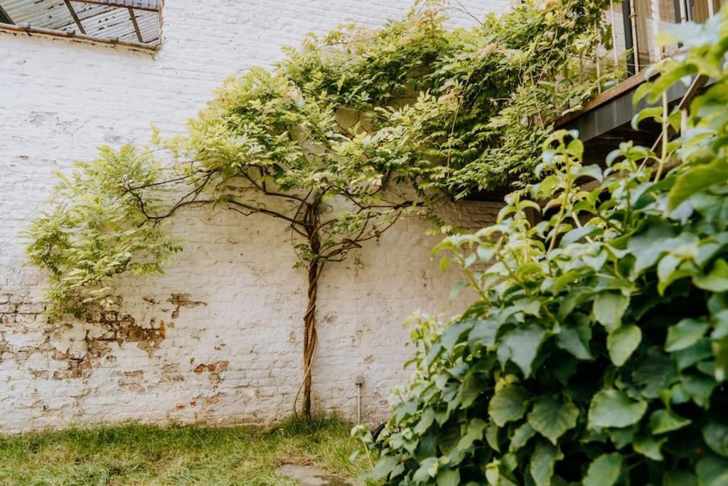 Beautiful 2 Bedroom Duplex In Le Chatelain *